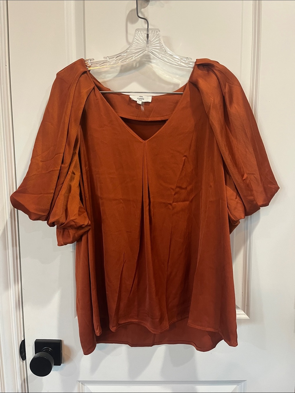 entro Rust V-Neck Puff-Sleeve Blouse